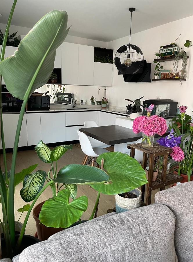 Mowgli House - Milano Luxury Apartment Private Room Exteriör bild